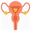 Ginecologia Hembra Utero Icon