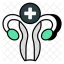 Ovario Organo Reproductor Femenino Trompa De Falopio Icono