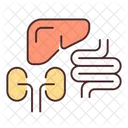 Anatomia Residuos Biomedica Icono