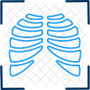 Organe Medical Anatomie Icône