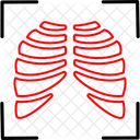 Organe Medical Anatomie Icône