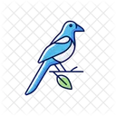 Oriental Magpie Bird Icon
