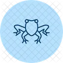 Oriental Fire Bellied Frog Orientalfirebelliedfrog Amphibian Icon