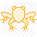 Oriental Fire Bellied Frog Icon