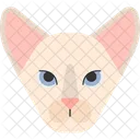 Orientalisch Symbol