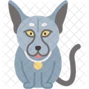 Orientalisch Kurzhaar Katze Glatt Grosse Ohren Symbol