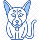 Orientalisch Kurzhaar Katze Glatt Grosse Ohren Symbol
