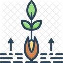 Origin Root Grow Icon