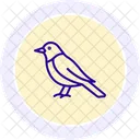 Oriole Bird Orange Icon