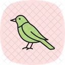 Oriole Bird Orange Icon