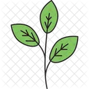 Ornamental Leaves  Icon