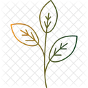 Ornamental Leaves  Icon