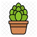 Indoor Plant Potted Plant Ecology Icon