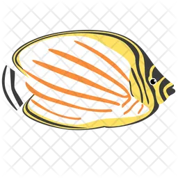 Ornate Butterfly Fish  Icon