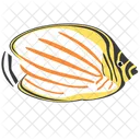 Ornate Butterfly Fish Sea Creature Animal Icon