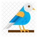 Bird Zoo Animal Icon