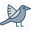 Ornithology Bird Animal Icon