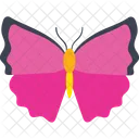 Ornithoptera Priamus Butterfly  Icon