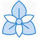 Orquídea  Ícone