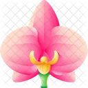 Orquidea Flor Naturaleza Icono