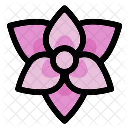 Orquídea  Icono