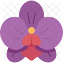 Orquídea  Icono