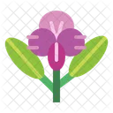 Orquídea  Icono