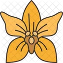 Orquideas Oncidium Flor Icon