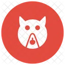 Orso Animale Zoo Icon