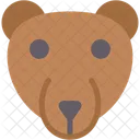 Orso Zoo Animali Icon