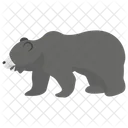 Orso  Icon