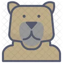 Orso Metamorfico Animale Icon