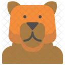 Orso Metamorfico Animale Icon