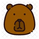 Orso  Icon