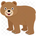 Orso  Icon