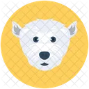 Orso  Icon