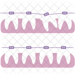 Orthodonic Braces  Icon