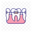 Orthodontics Icon