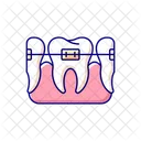 Orthodontics  Icon
