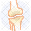 Orthopedics Healthcare Medical Icon