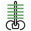 Ortopedico Rayos X Hueso Icono