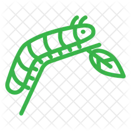 Oruga  Icono