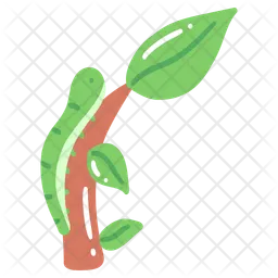 Oruga  Icono
