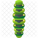 Caterpillar Insecto Bug Icono