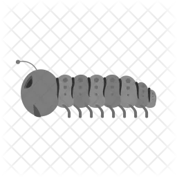 Oruga  Icono