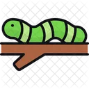 Caterpillar Animal Gusano Icono