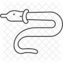 Orvet Orvet Reptile Icône