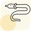 Orvet Orvet Reptile Icône