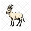 Animal Wildlife Desert Icon