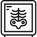 Os Diagnostic Medecine Icône